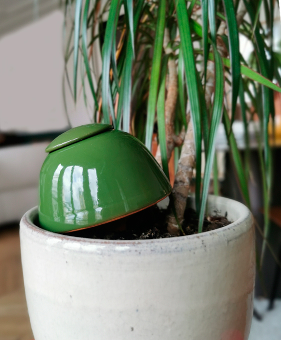 Comment faire pousser plus rapidement ses plantes en indoor et de façon  ecoresponsable ? 